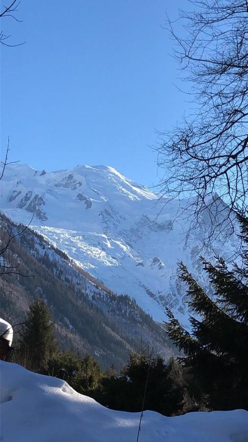 Appartement Chamonix Montblanc 1 A 4 Personnes ภายนอก รูปภาพ