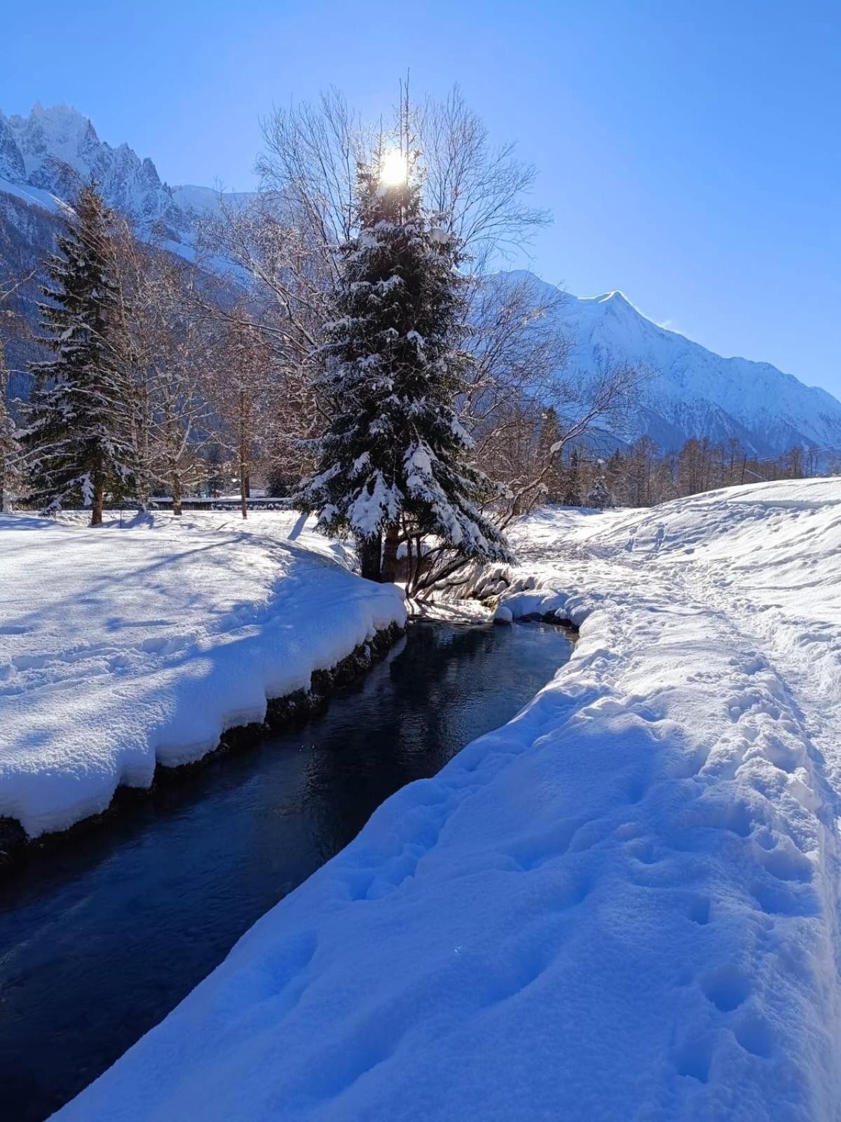Appartement Chamonix Montblanc 1 A 4 Personnes ภายนอก รูปภาพ